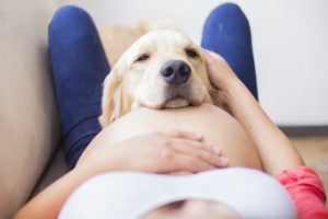 embarazada con perro