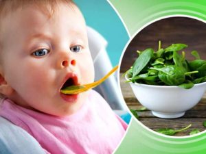 bebe come verduras de hoja verde