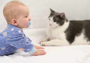 bebé con gato