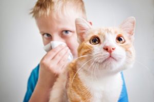 alergia a animales en niños