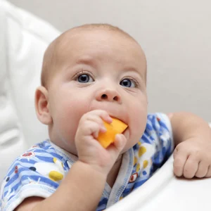 melón en la dieta de los bebés