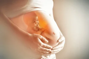 sentidos del bebé en el útero